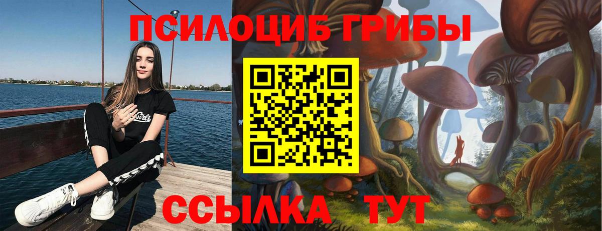 Псилоцибиновые грибы MAGIC MUSHROOMS Астрахань