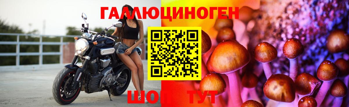 Астрахань  Псилоцибиновые грибы GOLDEN TEACHER  Псилоцибиновые грибы GOLDEN TEACHER  Вход с VPN 